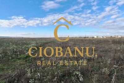 Parcele de teren intravilan de vanzare zona Preajba - 4