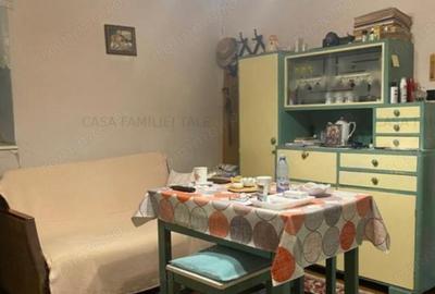 Casa 3 camere cu 2 fronturi plus 860 mp Lipovei-Aradului 178000 euro - 13