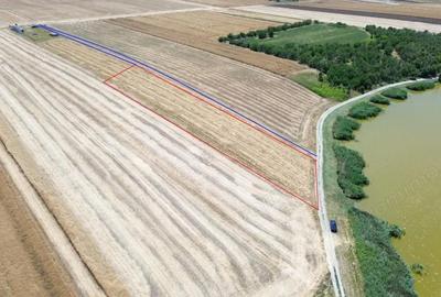 Teren de 6500 mp, în Frumușani - 2