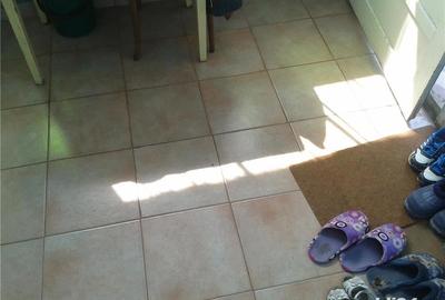 Casă cu 3 camere cu Teren 10000 Mp în Gherteniș - 12