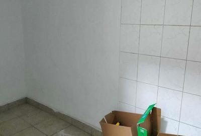 Zona Prelungirea Ferentari 100 mp - 3