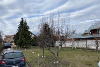 Mutare rapida! Vila 4 cam,str Putul Olteni, 167 mpu, 1200mp  teren! - 7
