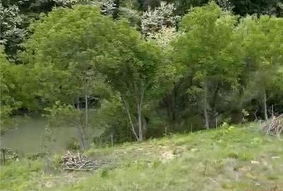 Valea Budului - Teren intravilan. Lac. Padure - 13