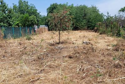 Teren în Chitila - 2