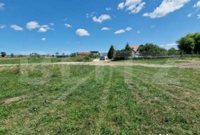 Teren de 6300 mp, în Hălchiu