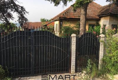 Casă individuală cu 2 camere în Stângăceaua