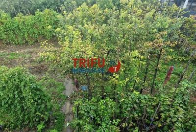 Teren de vânzare în zona centrală a orașului - 6