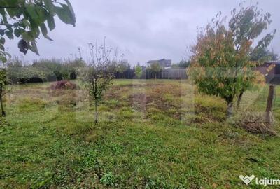 Teren de 1000 mp, în Hărman - 5