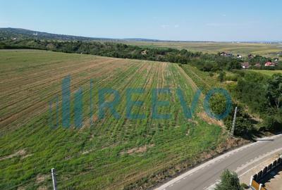 Teren de vanzare, Com. Sarata, Jud. Bacau Teren de vanzare, Com. Sarata, Jud. Bacau - 6