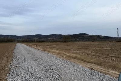 Teren de 1350 mp, în Tâmpa - 4