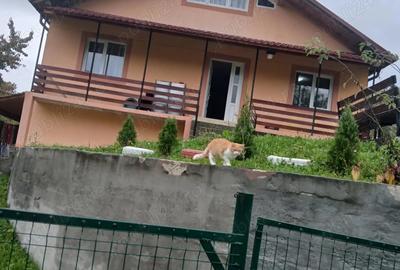 Casă cu 4 camere în Buhalnița