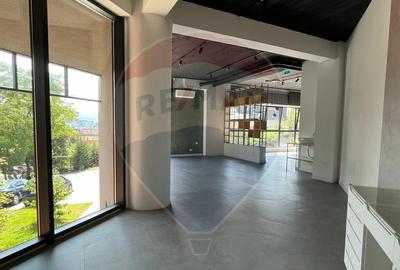 Spa?iu comercial Vanzare cu Chiriasi | Taietura Turcului - 6