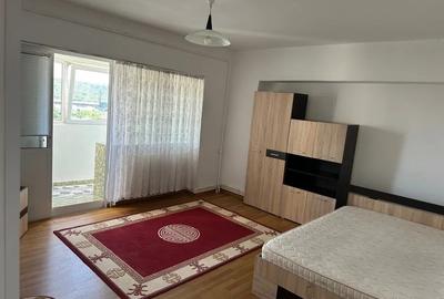 Apartament cu 1 camera - zona  Nicolina - CUG- Pet Friendly - 1