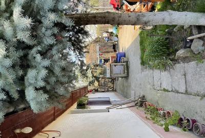 Vand casa batraneasca Semlacul Mic, com Gataia