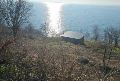 Teren de 868 mp, în Schitu - 3