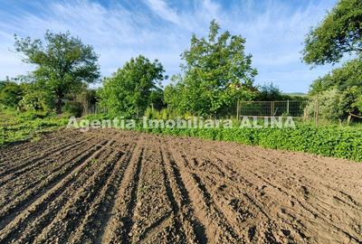 Teren de 4094 mp, în Șoimuș - 10