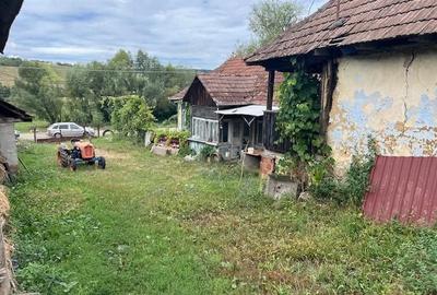 Casă cu Teren 5000 Mp în Mineu - 3