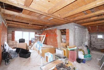 Casă cu Teren 2877 Mp în Mihai Bravu - 3