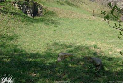 Spațiu comercial, în Măneciu - 6