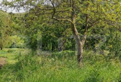 Casa renovabila de 127 mp, cu 2100 mp teren, localizata c - 27