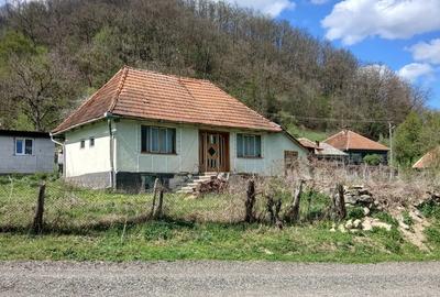Casa de vanzare - 2