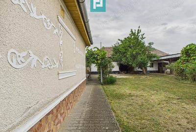 Casa Pecica, zona centrala. Casa Pecica, zona centrala. - 2