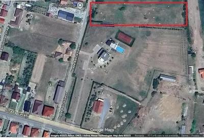 Teren de 5000 mp, în Ardud - 2
