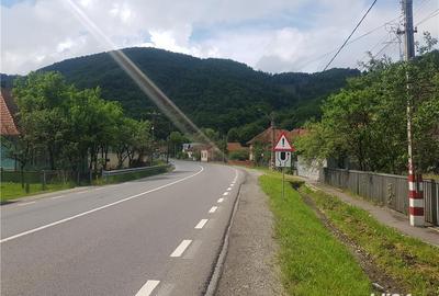 Teren de 4500 mp, în Ciucea - 8