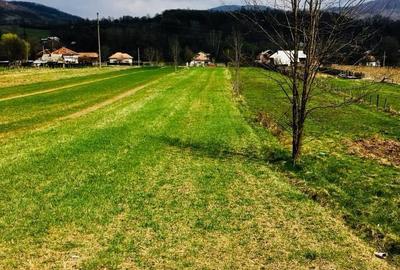 Teren de 5000 mp, în Central - 5