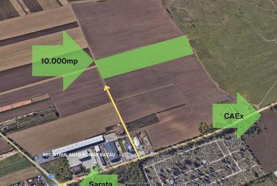 Teren 10,000mp Bacau / Strada Alexandru Safran - 2