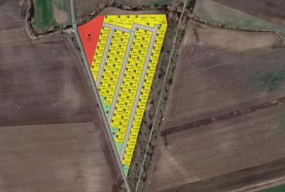 Teren de vanzare pentru proiect constructie case - Arad 6,74 ha - 1