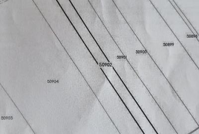 Teren agricol extravilan de 15000 mp, în Șopârlița - 1