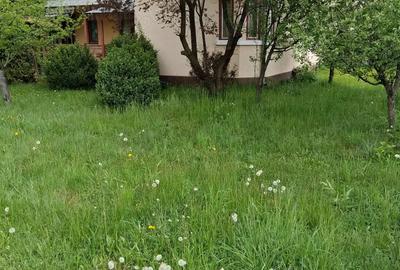 Casa de vanzare - municipiul Toplita, Judet Harghita - 10