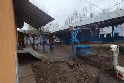 Casă cu 4 camere cu Teren 10000 Mp în Căbești - 9