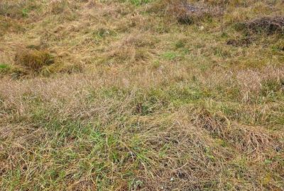 Teren de 1400 mp, în Miroslava - 2