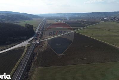 Teren de 19319 mp, în Laslea - 10