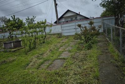 Casa cu anexe ?i padure - 5