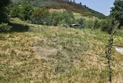 Teren  intravilan  de vanzare Oras  Saliste  Strada Livezii Jud. Sibiu - 22