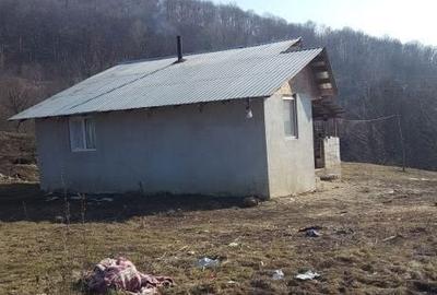 Teren de 6200 mp, în Viperești - 2