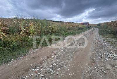 Teren de vanzare intravilan Sura Mare Sibiu 400 mp zona deos - 3