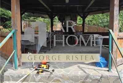 Casă individuală cu 6 camere cu Teren 2043 Mp în Piatra (Provița de Jos) - 22