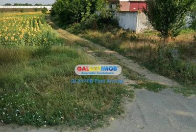 Teren de 4800 mp, în Gruiu - 3