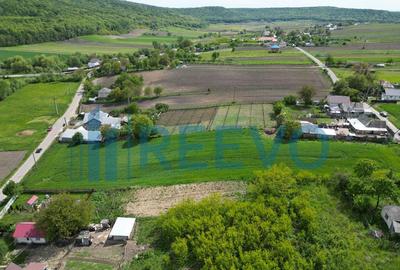 Teren de vanzare, Sat Valea Mare, Com. Ro?iori, Bacau - 4