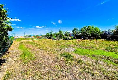 Teren Intravilan Smeura Arges Teren Intravilan Smeura Arges - 1