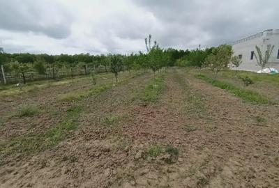 Vand casa la cheie, tout nou 110m Vand casa la cheie, tout nou 110m - 10