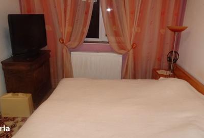 Apartament cu 3 camere decomandat în Scărișoara - 17