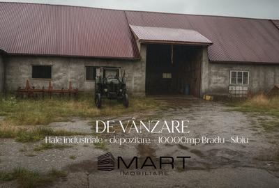 Spațiu industrial, de 500 mp, în Bradu