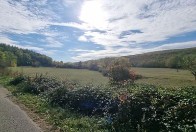 Spațiu comercial, în Cladova - 2