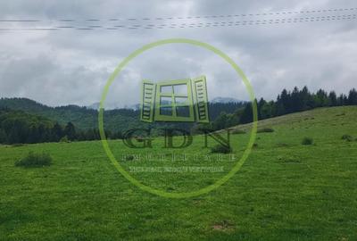 Parcele de vis in munti – Zona Arka Park, cu drum de acces si PUZ aprobat - 2