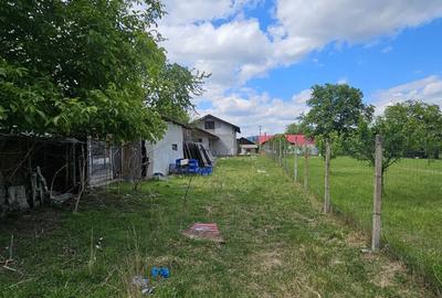 Casa de vanzare si fabrica de paine, zona Darmanesti! - 2